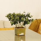 Buque Eucalipto Médio 48x18cm Verde Grillo