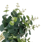 Buque Eucalipto Médio 48x18cm Verde Grillo