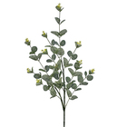 Buque Eucalipto Verde Outono