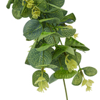 Buque Eucalipto Verde Outono