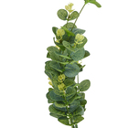 Buque Eucalipto Verde Outono