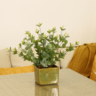 Buque Eucalipto Verde Outono