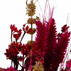 Buque Flores Desidratada Pequeno