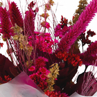 Buque Flores Desidratada Pequeno