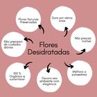 Buquê Flores Desidratadas Em Folha Leque Laranja