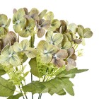 Buquê Hortensia Pequeno Verde Grillo