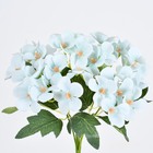 Buquê Hortensia X5 Azul Pequeno Azul Grillo