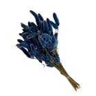 Buque Maço Celosia Rabo De Gato Azul- Flores Desidratadas