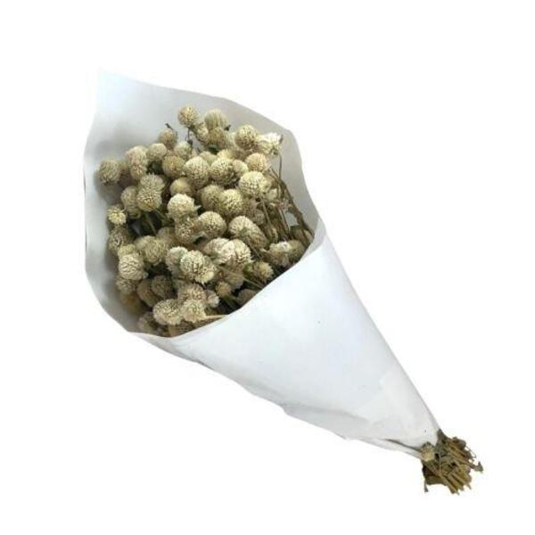 Buque Maço Perpetua Branca - Flores Desidratadas