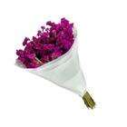 Buque Maço Statice Pink- Flores Desidratadas