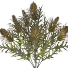 Buquê Pinho Pequeno Verde Grillo