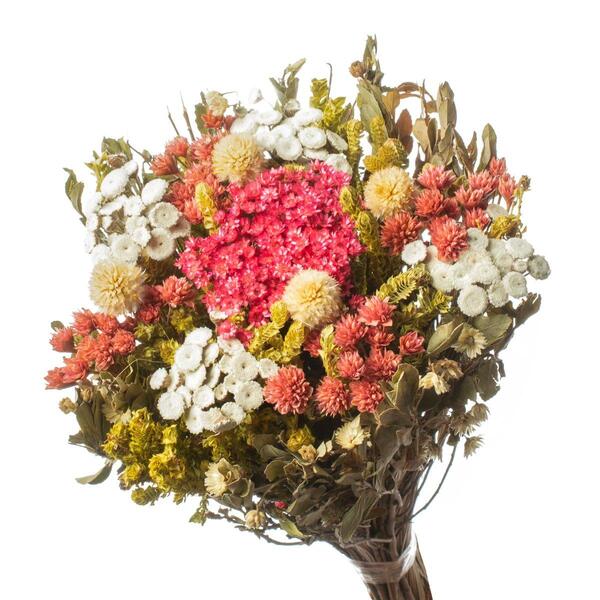 Buquê Preservado Rústico Colorido N16 I Flores Desidratadas