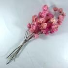 Buquê Primavera Bougainvillea Flor Desidratada