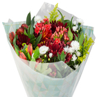 BUQUE 4 ESTACOES DECORADO