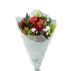 BUQUE 4 ESTACOES DECORADO