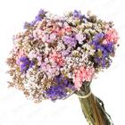 Buquê Statice E Sempre Vivas I Flores Desidratadas