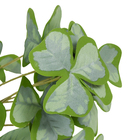 Buque Trevo Toque Real Médio 27x18cm Verde Grillo