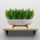 Buques De Bambu Artificial Kit 18 Plantas Permanente Para Dec