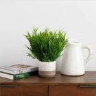 Buques De Folhagens Permanentes Bambu 7 Unidades Decoração En