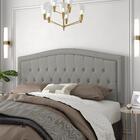 Cabeceira Box Plus Capitonê Curva 1.6 Provençal Veludo Cinza