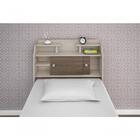 Cabeceira Box Solteiro Elisa Avelã Ou Avelã/castanho