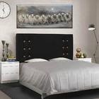 Cabeceira Cama Box Casal Queen 160cm Cléo Suede - Loja Sheep