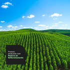 Cabeceira Cama Box Solteiro Lana 90cm Sintético Preto - Desk