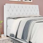 Cabeceira Cama Queen Branco Com Capitonê Corino Branco E Prat