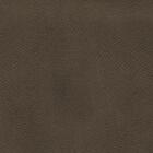 Cabeceira Casal Ana Bardi Fungi 1,40m