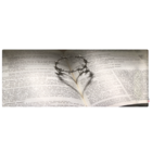 Cabeceira Casal Suede Estampado Bíblia Painel Cama Box 140 X