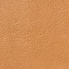 Cabeceira Estofada King 6 Blocos Não É Segredo Courvin Carame