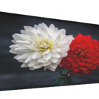 Cabeceira Queen Suede Estampado Flora Painel Cama Box 160 X 60