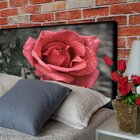 Cabeceira Queen Suede Estampado Rosa Painel Cama Box 160 X 60