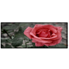 Cabeceira Queen Suede Estampado Rosa Painel Cama Box 160 X 60