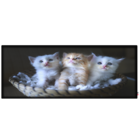 Cabeceira Solteiro Suede Estampado Cat Painel Cama Box 90 X 60