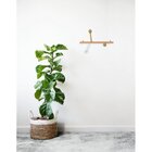 Cabideiro Horizontal Mini 2 Ganchos Bali Gold