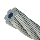 Cabo De Aço 1m Wm 4,8mm - 3/16