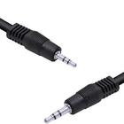 Cabo P1 Macho Para P2 3.5mm Macho 2 Metros P1p2-2