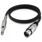Cabo Para Microfone Xlr(f) X P10 5m Player Preto Hayonik