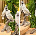 Cacatua Casal Em Resina No Galho 22x13cm