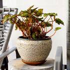 Cachepô Cerâmica Bege 3pç