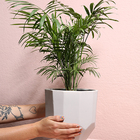 Cachepô Cerâmica Temisia - Cinza