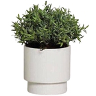 Cachepô Charme Branco