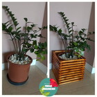 Cachepô De Madeira C1