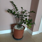 Cachepô De Madeira C1