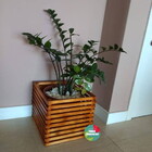 Cachepô De Madeira C1