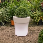 Cachepô De Plantas Standing Led