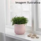 Cachepô Decorativo Para Plantas Flores De Cerâmica Rosa 11cm