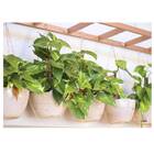 Cachepô Elegance Cuia 01 (4l) Travertino Nutriplan