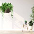 Cachepô Elegance De Parede Médio (5,5l) Café Nutriplan